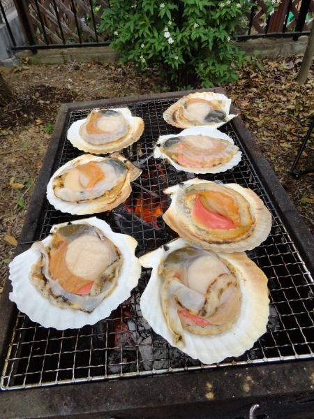 f0238932_20403477.jpg