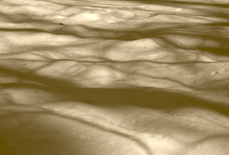 b0035734_16184290.jpg