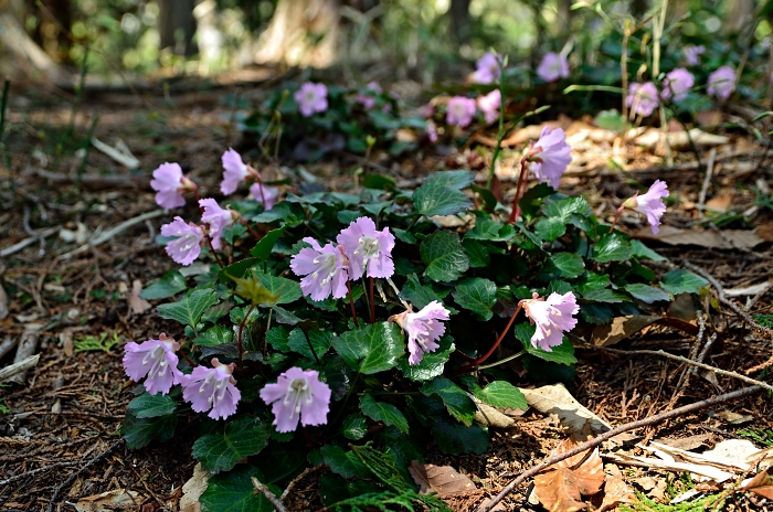b0236334_20551452.jpg