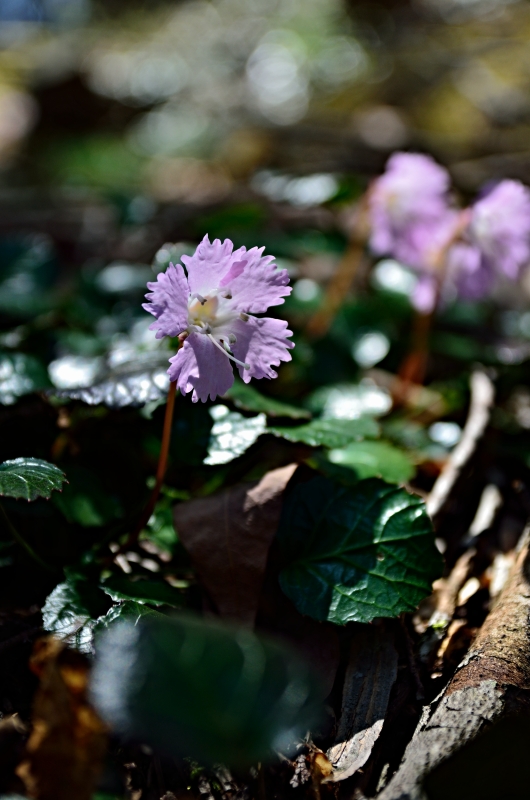 b0236334_20552131.jpg
