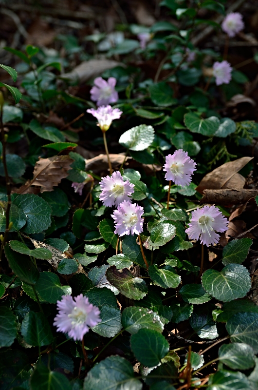 b0236334_20552821.jpg