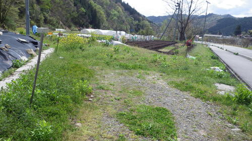 c0300035_1732945.jpg