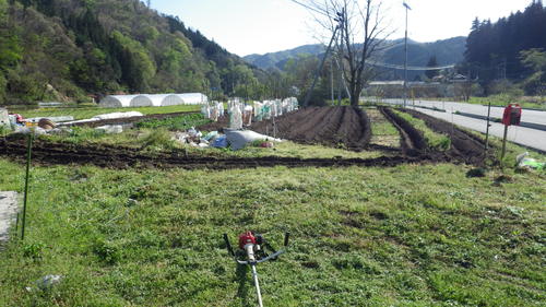 c0300035_17331045.jpg