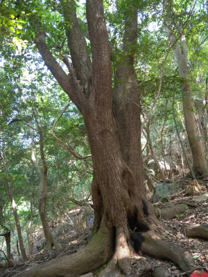 e0272335_20554344.jpg