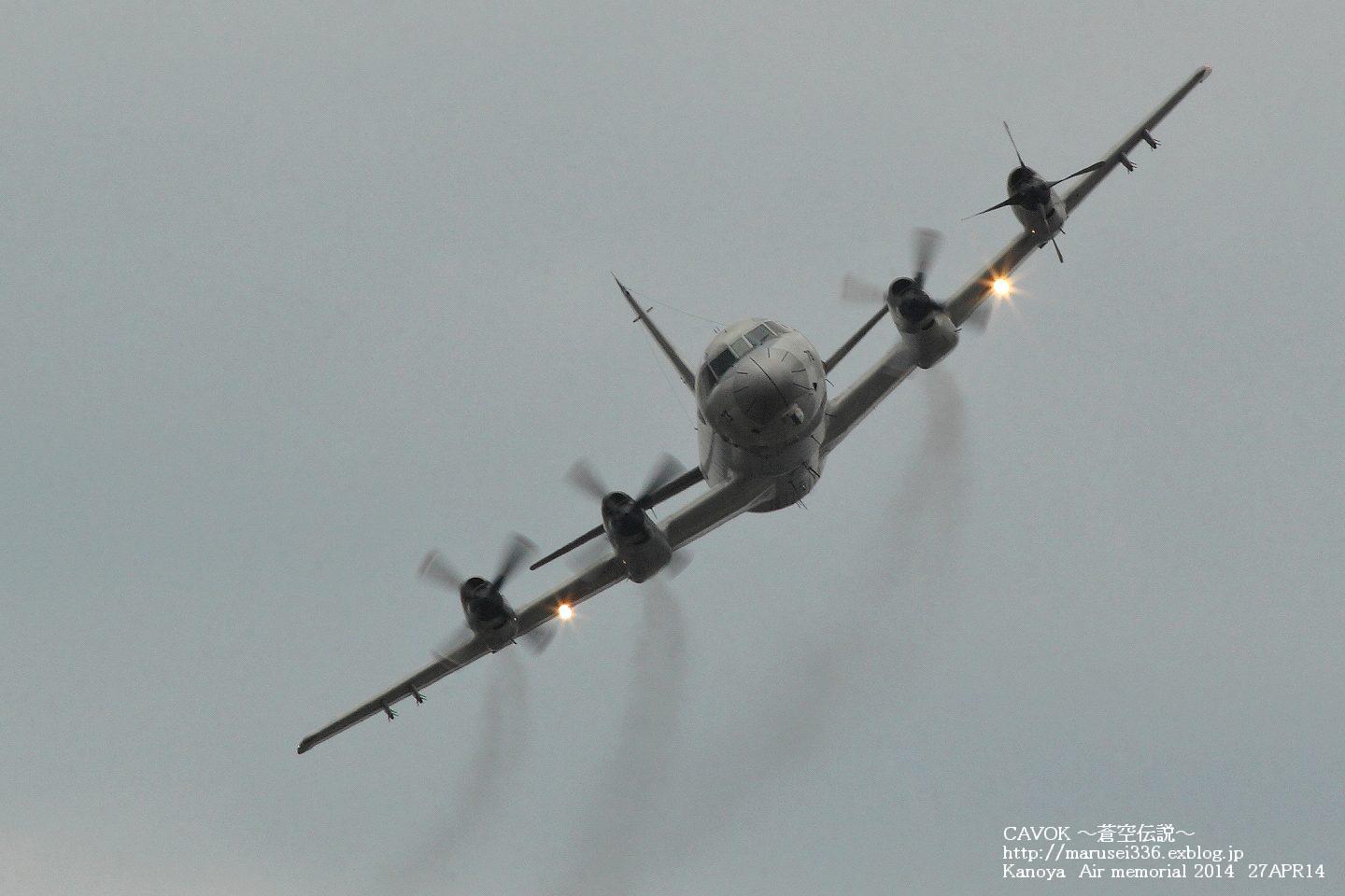 d0193838_8104174.jpg