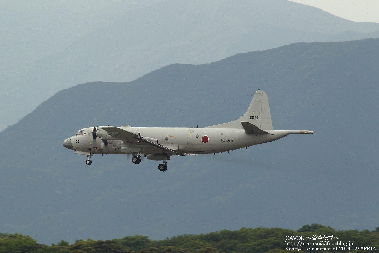 d0193838_8153679.jpg