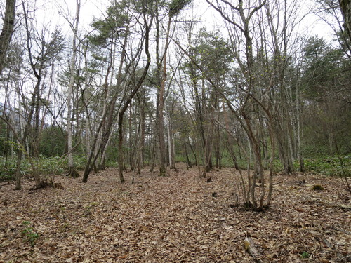 b0178339_22382227.jpg