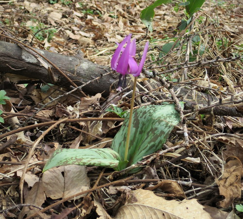 b0178339_22392043.jpg