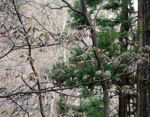 b0178339_2241691.jpg