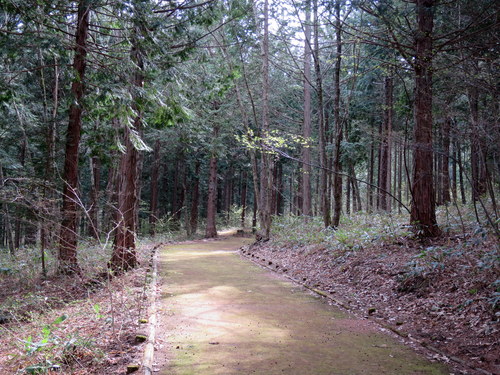 b0178339_2245438.jpg