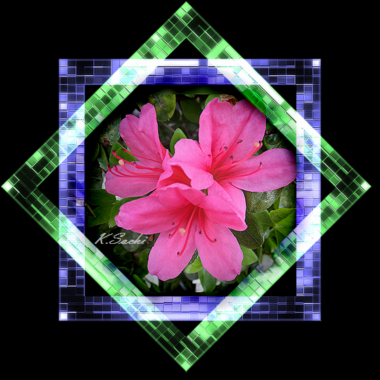 b0133752_13311258.png