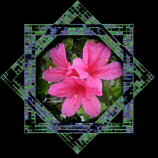 b0133752_13314583.png