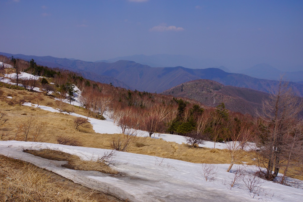 e0223456_9211040.jpg