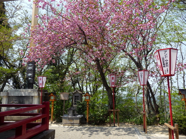 f0208760_1232046.jpg