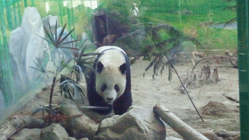 a0267766_22453652.jpg
