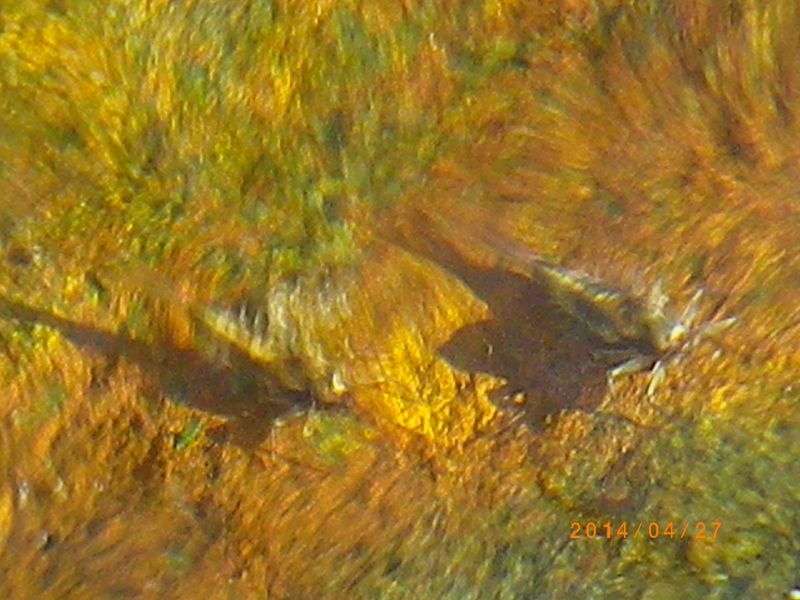 c0145582_722748.jpg