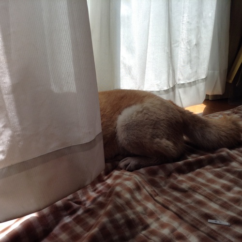 c0123890_20102342.jpg