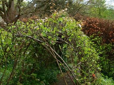 b0110999_1901033.jpg