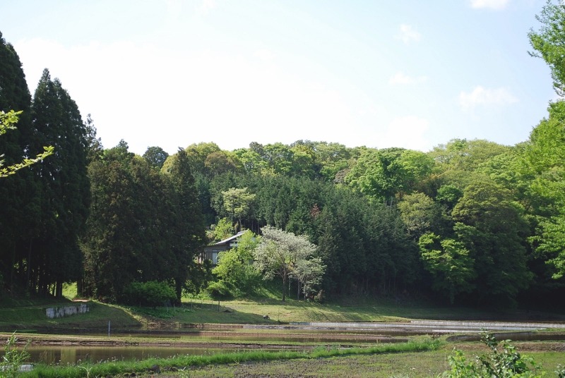 e0025300_1647323.jpg