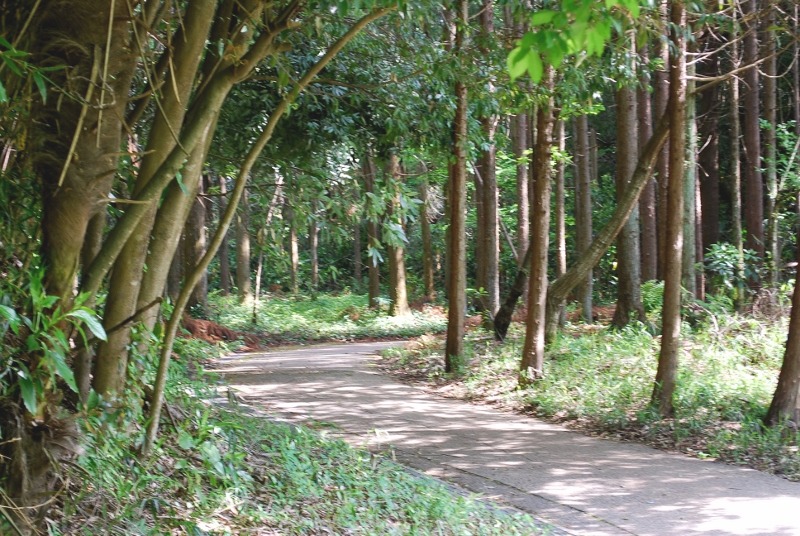 e0025300_1650358.jpg