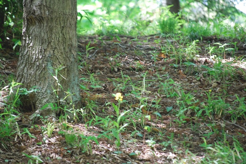 e0025300_16553231.jpg