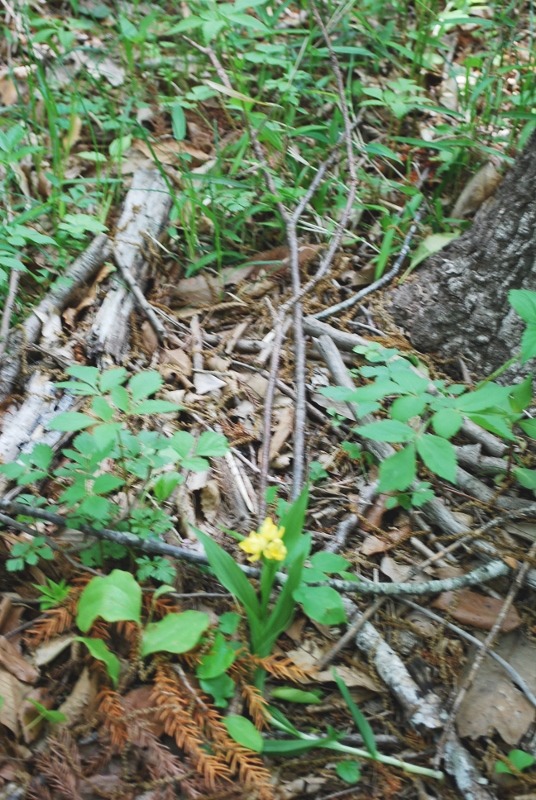 e0025300_16563876.jpg
