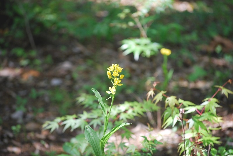 e0025300_1659548.jpg