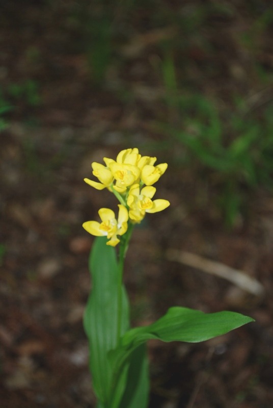 e0025300_1703213.jpg
