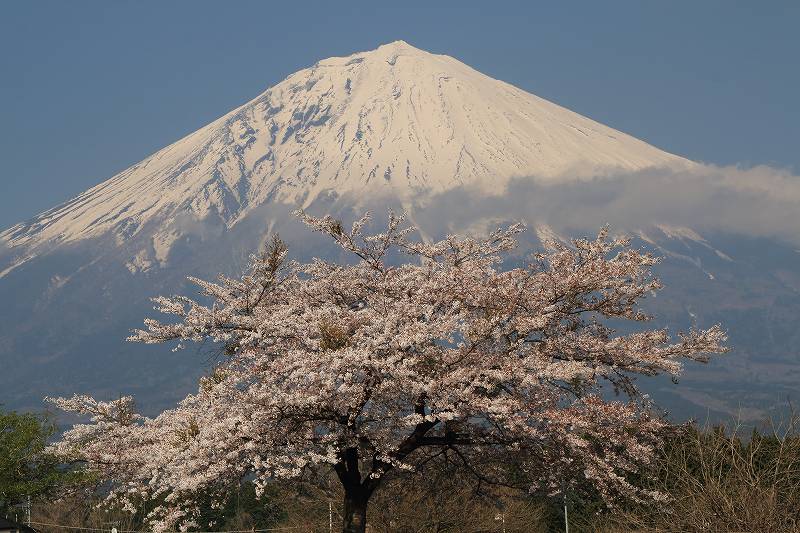 a0188405_612499.jpg