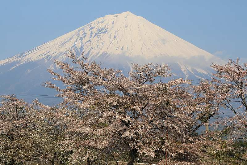 a0188405_63825.jpg
