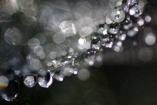 f0155808_18318100.jpg