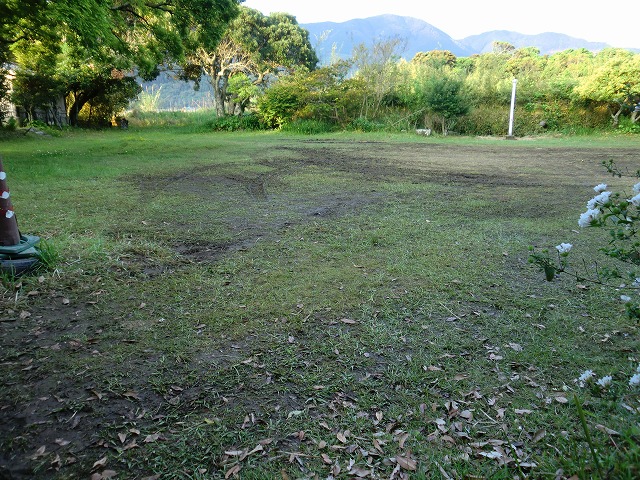 d0037110_2140074.jpg