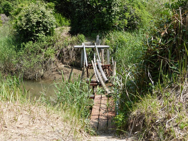 d0037110_21592494.jpg