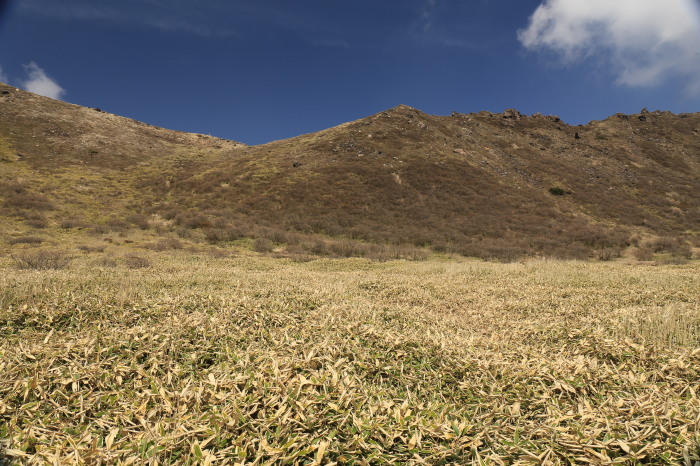 d0047811_19235020.jpg