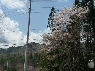 c0189218_728361.jpg