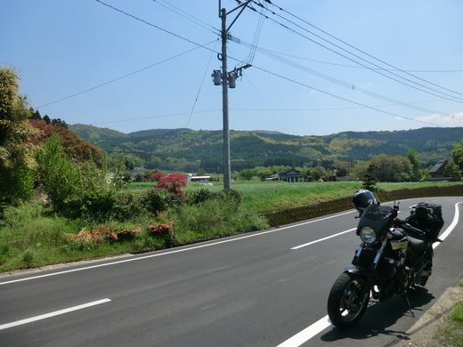 d0221319_4123248.jpg