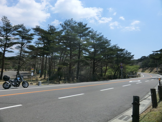 d0221319_420446.jpg