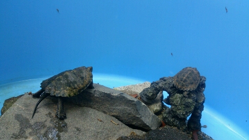 b0187620_21455254.jpg