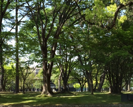 b0188121_2353269.jpg