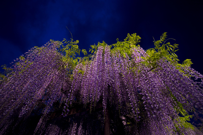 e0200926_016126.jpg