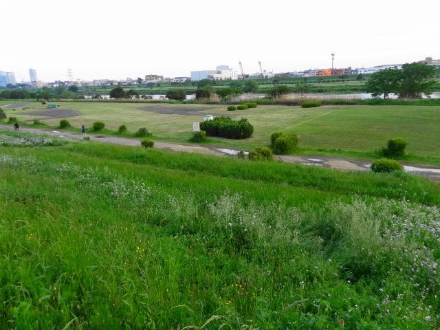 e0016828_1229731.jpg