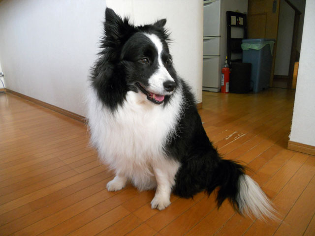 d0059230_824133.jpg