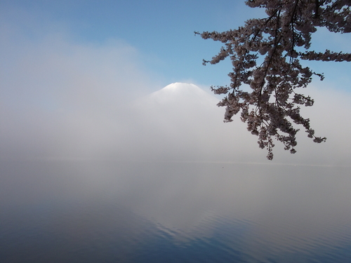 f0304030_7432724.jpg