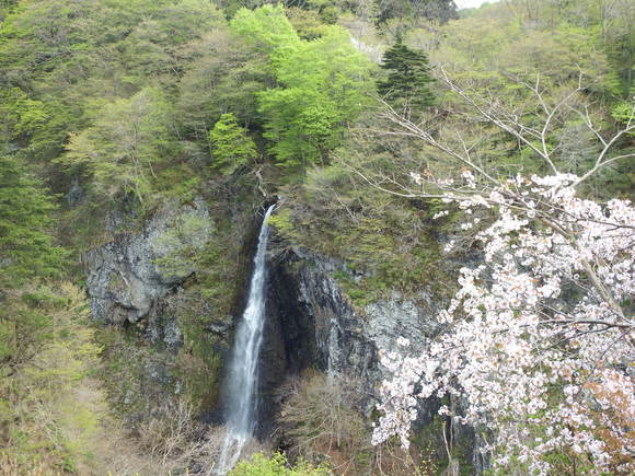 f0118332_23573813.jpg