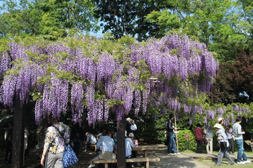 d0033734_2129246.jpg