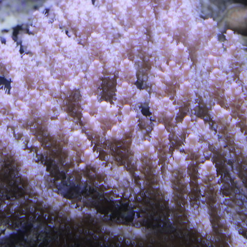 d0221436_23274825.jpg