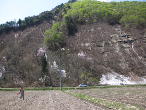 f0329538_12211905.jpg