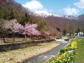 a0272241_2148339.jpg