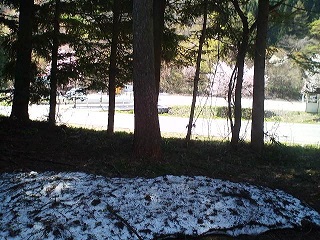 a0272241_2150597.jpg
