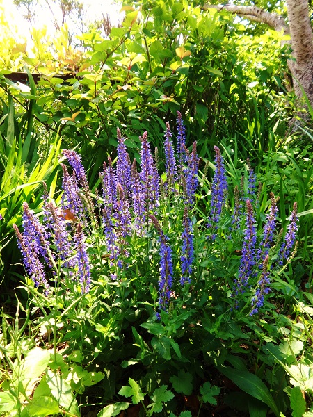d0231942_1420771.jpg